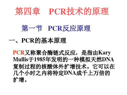 第四章 PCR技术原理