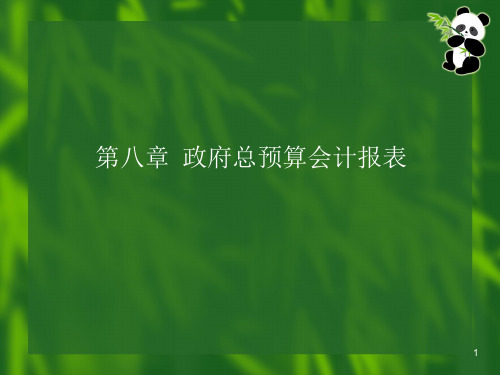 政府总预算会计报表