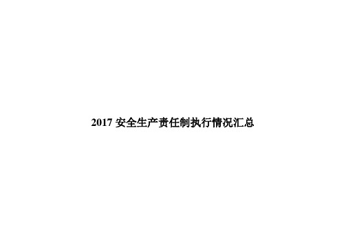 1安全生产责任制执行情况考核表