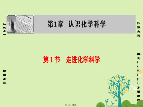 高中化学第1章认识化学科学第1节走进化学科学课件鲁科版必修1