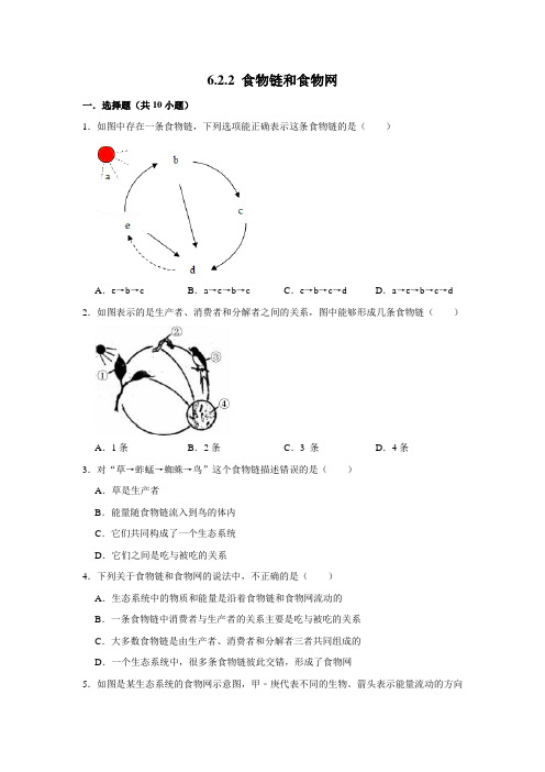 济南版生物八年级下册食物链和食物网