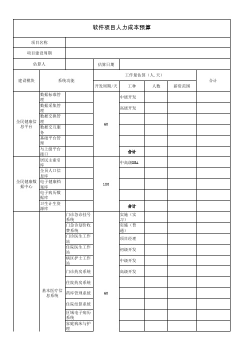 软件开发项目预算表