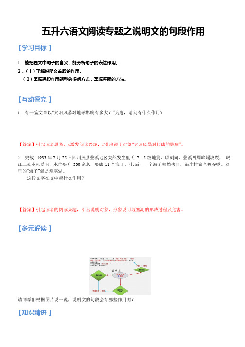 【暑假衔接】五升六语文(同步专题)讲义-第16讲阅读专题之说明文的句段作用(教师版,部编版,含答案