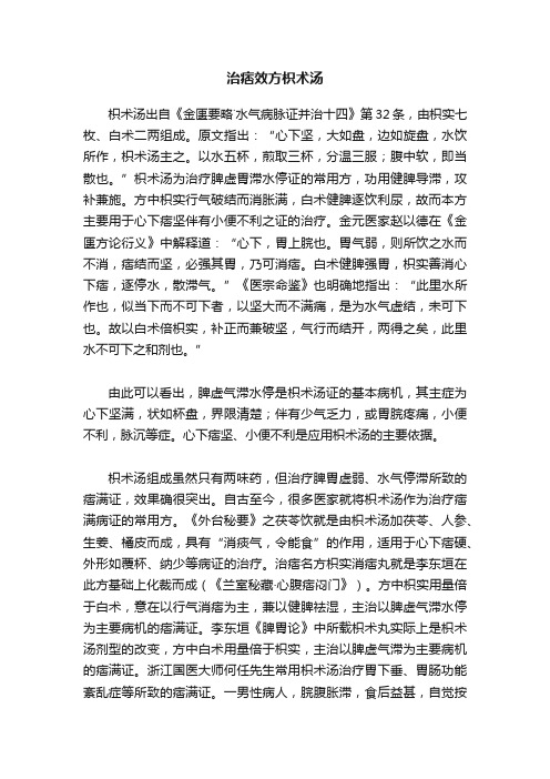 治痞效方枳术汤