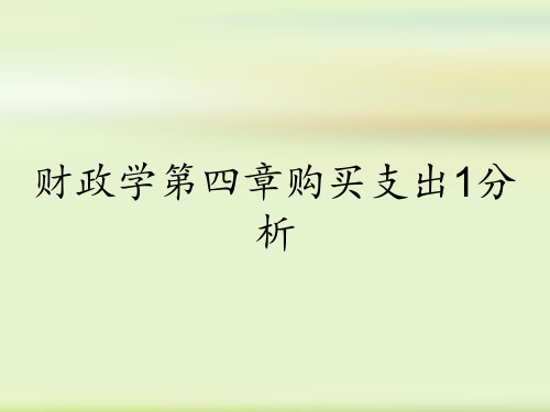 财政学第四章购买支出1分析