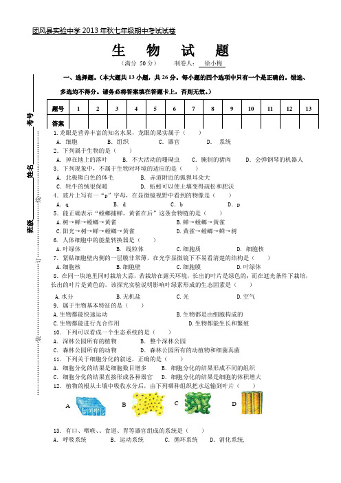 2013年秋七年级期中考试卷