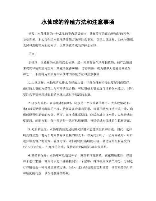 水仙球的养殖方法和注意事项