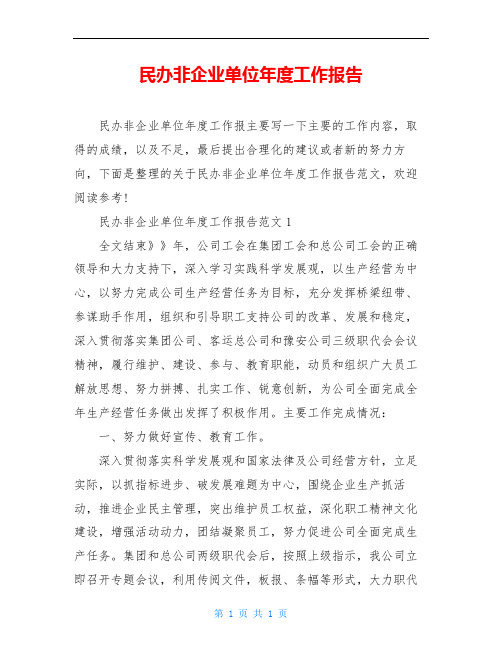 民办非企业单位年度工作报告