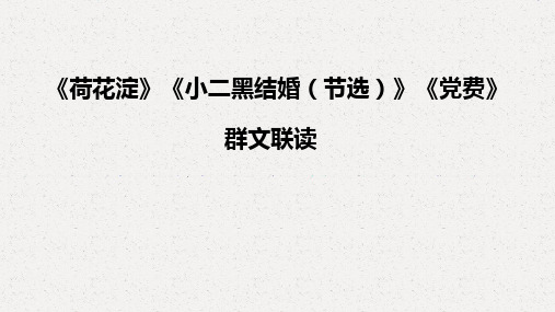 《荷花淀》《党费》《小二黑结婚》联读课件+2024-2025学年统编版高中语文选择性必修中册