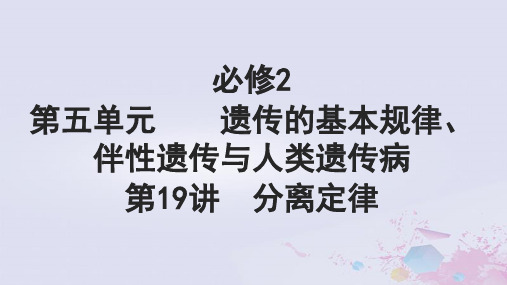 高考生物一轮总复习必修2第五单元遗传的基本规律伴性遗传与人类遗传病第19讲分离定律