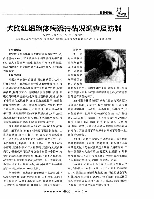 犬附红细胞体病流行情况调查及防制