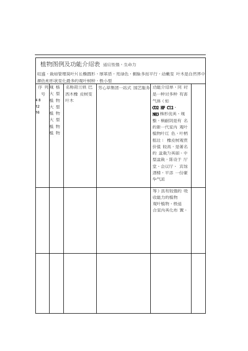 办公室盆栽租摆植物详细介绍