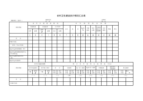 农村卫生建设执行情况汇总表Excel 