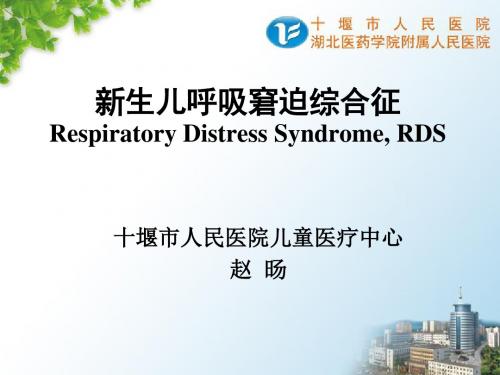 新生儿呼吸窘迫综合症
