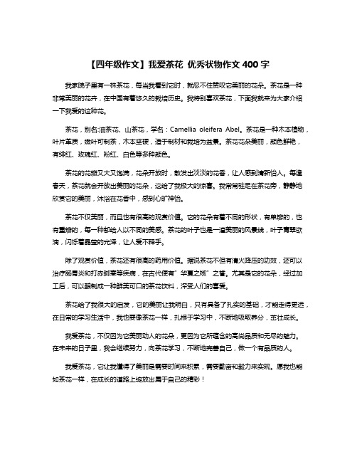 【四年级作文】我爱茶花 优秀状物作文400字