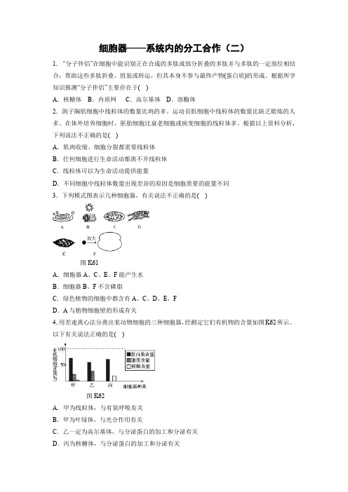 课时作业23：3.2.2 细胞器——系统内的分工合作（二）