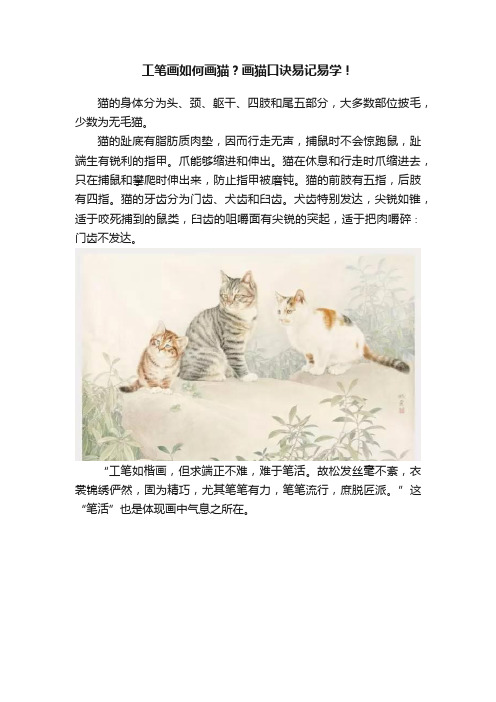 工笔画如何画猫？画猫口诀易记易学！