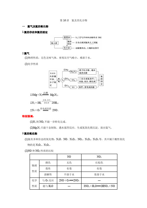 第16讲  氮及其化合物(讲义)(解析版) 
