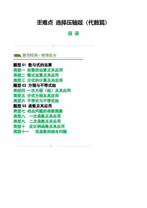 2024年中考数学重难点- 选择压轴题(代数篇)(原卷版)