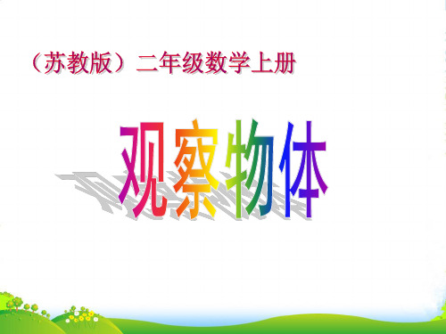 苏教版二年级数学上册《观察物体》公开课课件