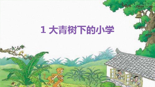 大青树下的小学(共25张PPT)