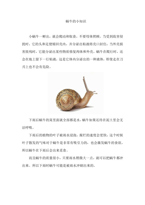 蜗牛的小知识