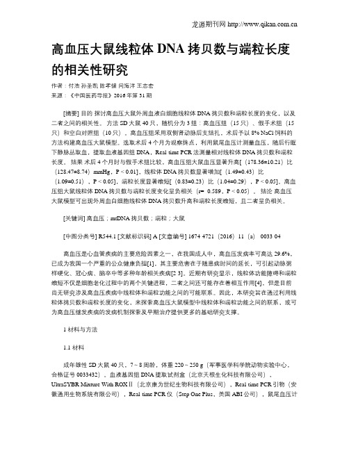 高血压大鼠线粒体DNA拷贝数与端粒长度的相关性研究