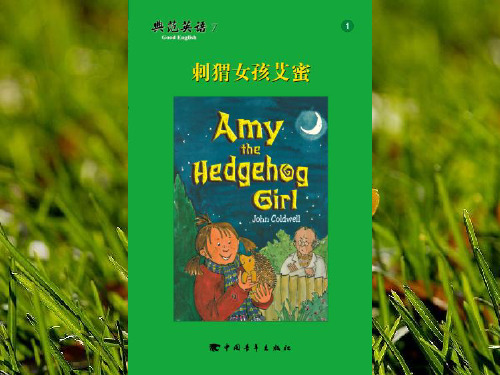 801刺猬女孩艾蜜Amythehedgehoggirl-sy-典范英语