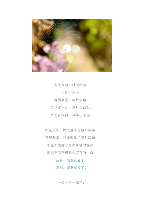 芳华留不住,岁月已白头(深度好文)