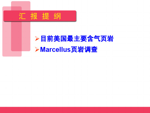 美国主要含气页岩-Marcellus页岩调查