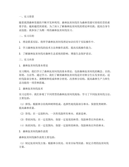 森林抚育间伐实习报告