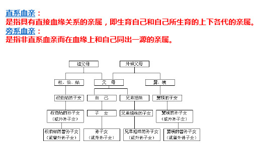 伴性遗传(第二课时)课件-高一下学期生物人教版(2019)必修2