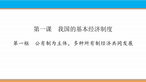 统编版高中政治必修二 公有制为主体 多种所有制  经济共同发展11111