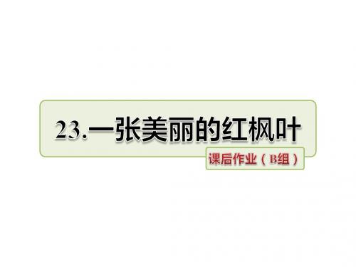 三年级上册语文课件-23.一张美丽的红枫叶 课后作业(B组)长春版 (共12张PPT)