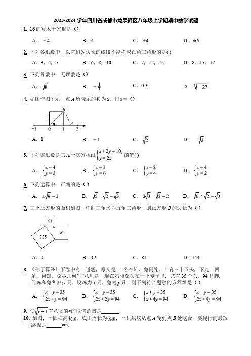 2023-2024学年四川省成都市龙泉驿区八年级上学期期中数学试题