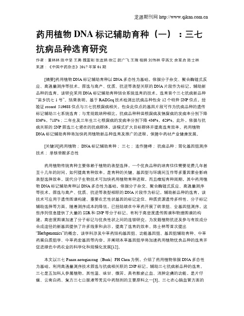 药用植物DNA标记辅助育种(一):三七抗病品种选育研究