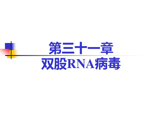 兽医微生物学课件- 双股RNA病毒