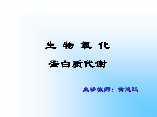生物氧化与能量代谢蛋白质的代谢PPT课件