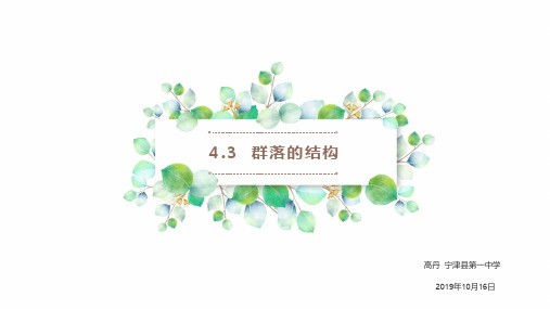 4.3群落的结构