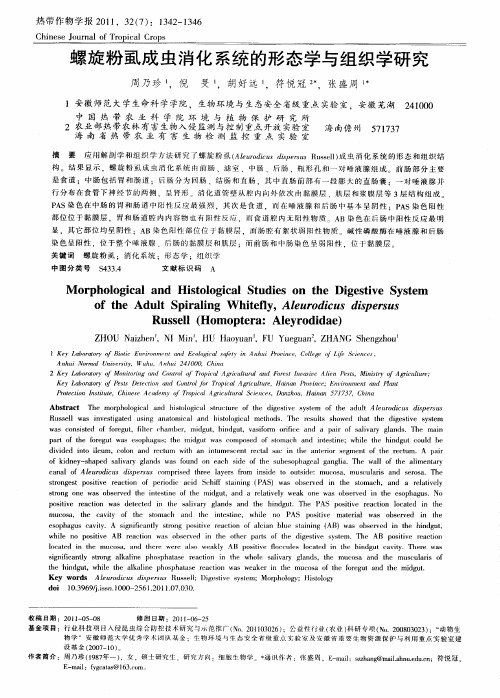 螺旋粉虱成虫消化系统的形态学与组织学研究