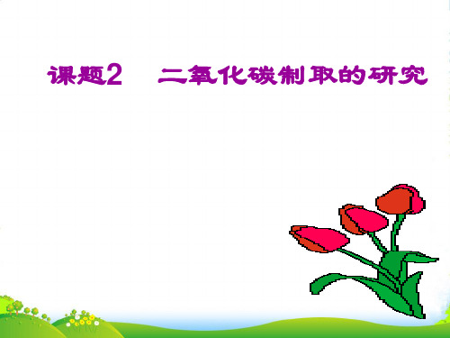 人教版九年级化学上册6.2二氧化碳制取和研究课件 (共22张PPT)