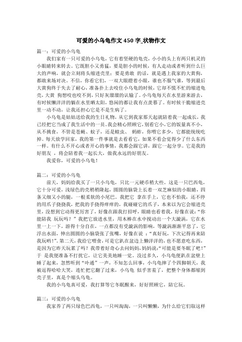 可爱的小乌龟作文450字_状物作文