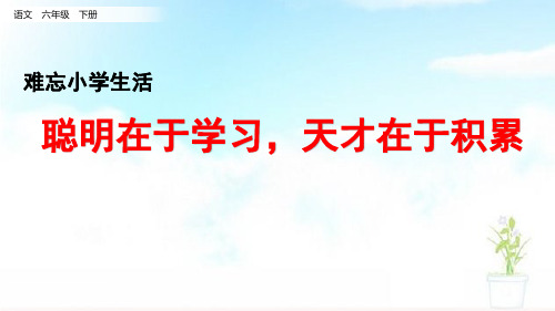 人教部编版小学六年级语文下册《聪明在于学习,天才在于积累》名师教学课件