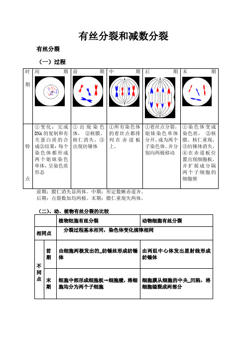 高中生物必修二有丝分裂减数分裂详尽分析