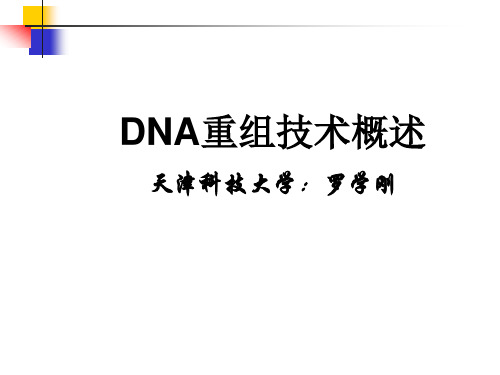 DNA重组技术概述