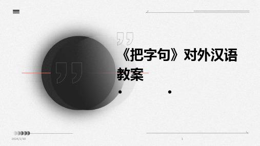 《把字句》对外汉语教案(2024)