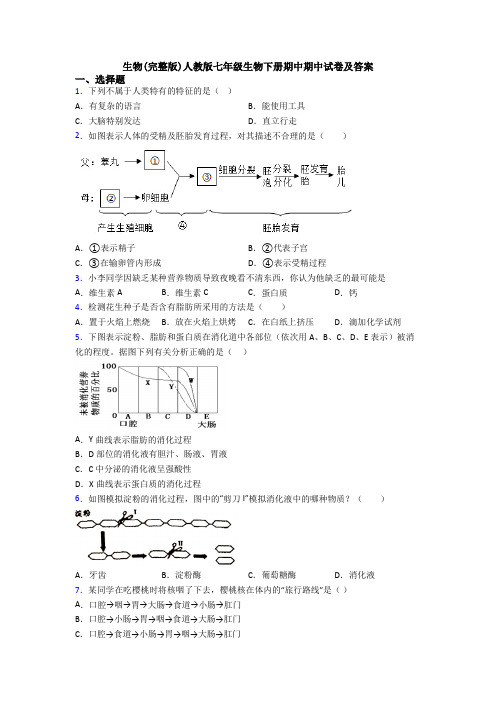 生物(完整版)人教版七年级生物下册期中期中试卷及答案