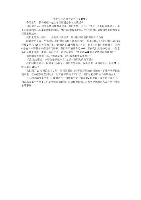 我是小小志愿者优秀作文600字