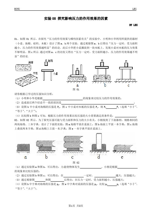 初中物理总复习实验专题 实验08 探究影响压力的作用效果的因素