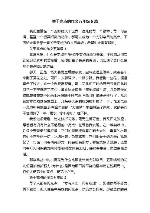 关于亮点的作文五年级5篇